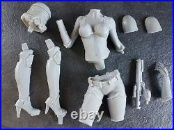 1/6 scales 30cm Star Wars Female Stormtrooper resin model kit