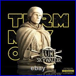 LUKE SKYWALKER Mark Hamill Bust Star Wars 3D Jedi Resin Model Kit