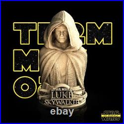 LUKE SKYWALKER Mark Hamill Bust Star Wars 3D Jedi Resin Model Kit