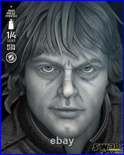 Luke Skywalker Sculpt (300mm)/3D Printed/Unpainted/Unassembled/GK/StarWars3D