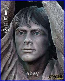 Luke Skywalker resin scale model kit unpainted 3d print