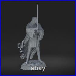 Qui-Gon Jinn Star Wars 3D Printed Figure, Unpainted Jedi Master Model Kit