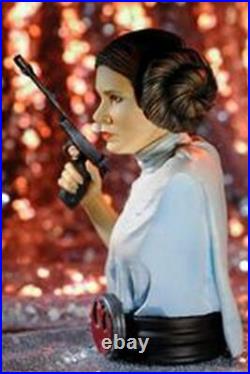 The Rebel Princess Star Wars Princess Leia Unpainted Bust Model Kit